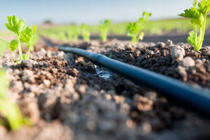 Druppelslang - 100m Inclusief Toebehoren - UV-bestendig