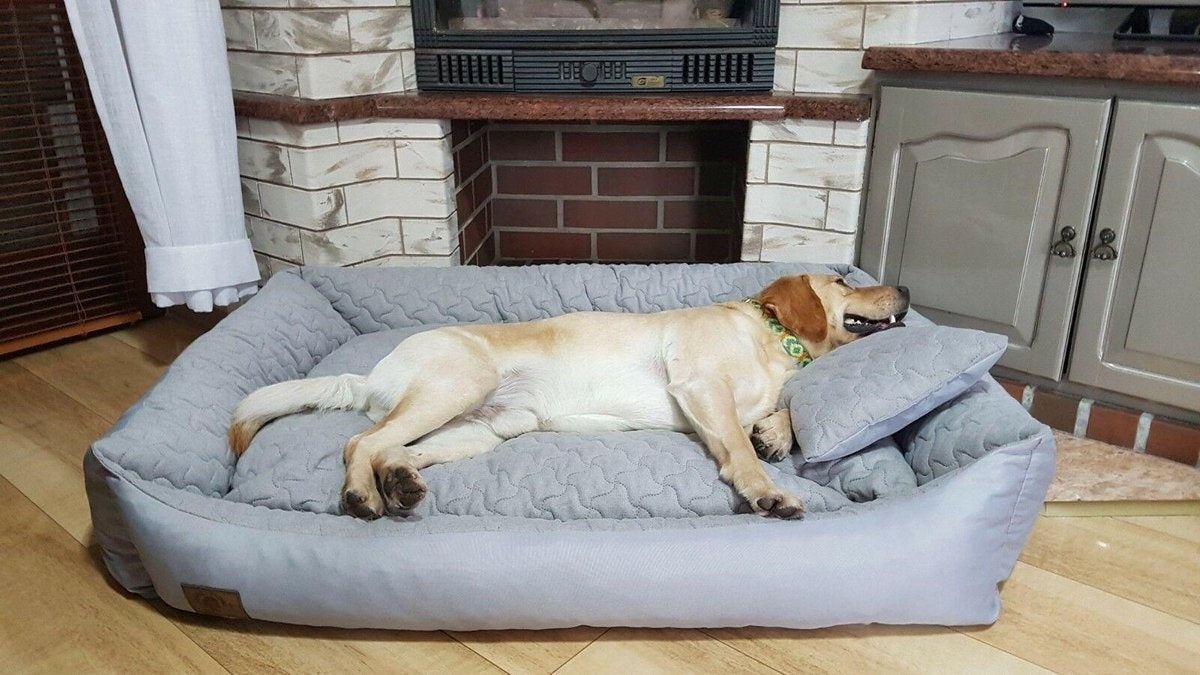 Hondenmand - Waterdicht en Krasvrij - 120x90 cm