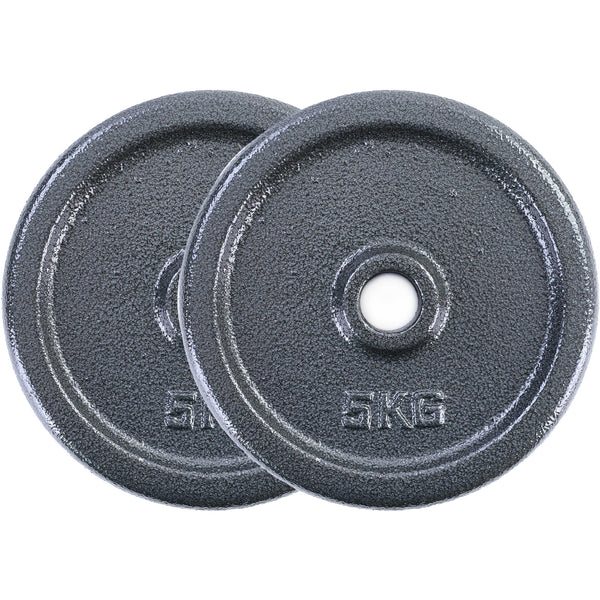 HALTERSCHIJVEN - gietijzer 20 kg - 27 mm naaf - 26 mm stang