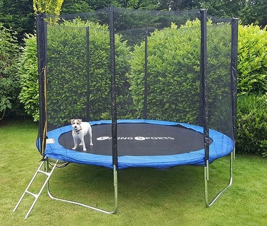 Trampoline - veiligheidsnet & ladder - 244 cm blauw/zwart