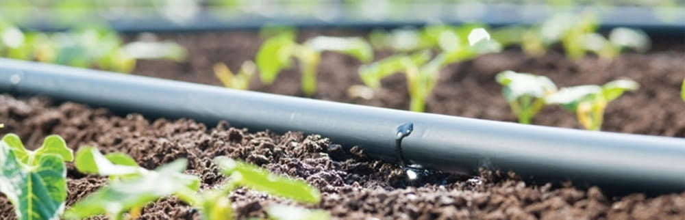 Druppelslang - 100m Inclusief Toebehoren - UV-bestendig