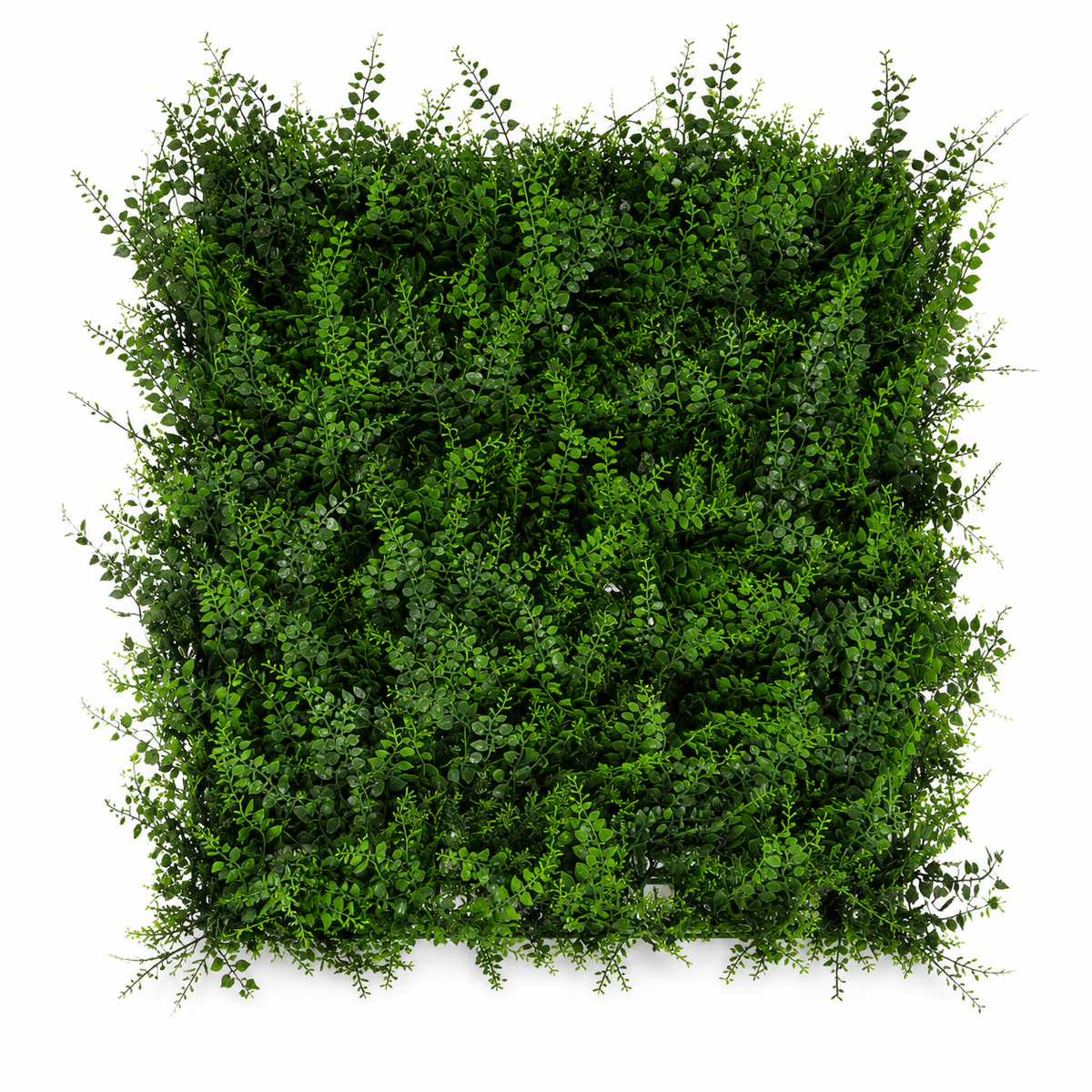 Kunsthaag Tess – Natural Green – 100 × 100 cm