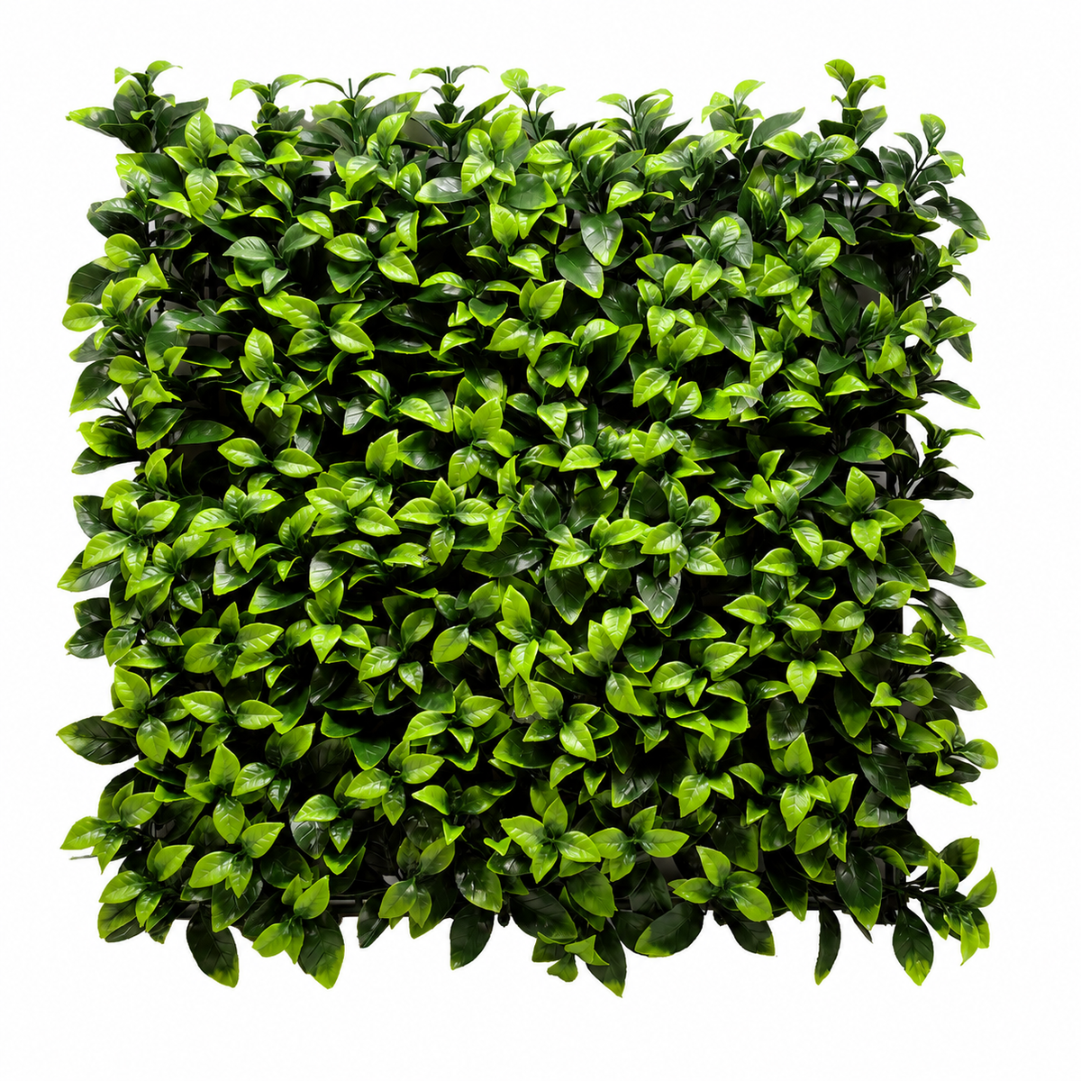 Kunsthaag Olivia – Fresh Green – 100 × 100 cm