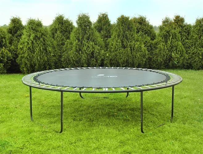 Trampoline - Veiligheidsnet en Ladder - Zwart - 244 cm
