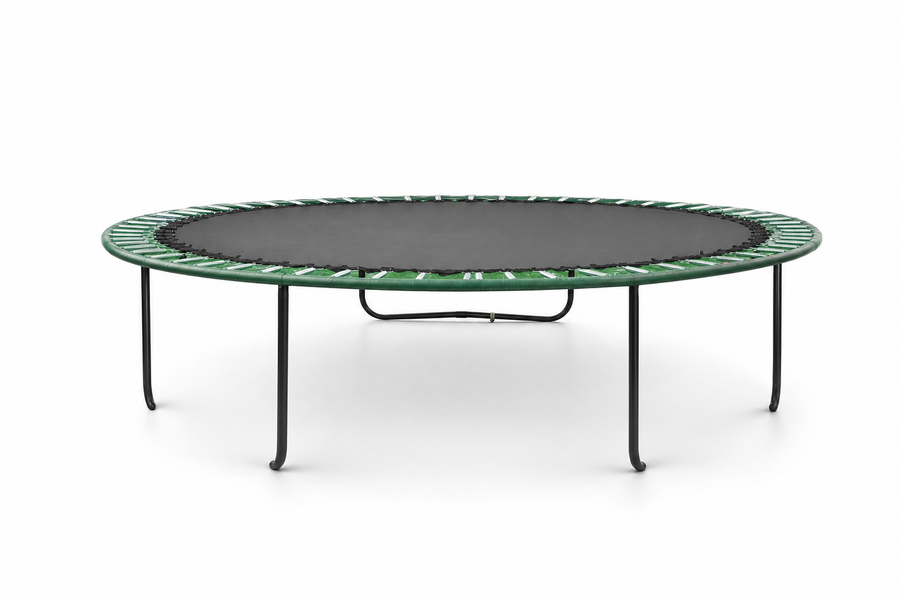 Trampoline - Veiligheidsnet en Ladder - Zwart - 244 cm