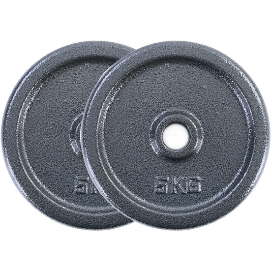 HALTERSCHIJVEN - gietijzer 20 kg - 27 mm naaf - 26 mm stang