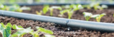 Druppelslang - 100m Inclusief Toebehoren - UV-bestendig