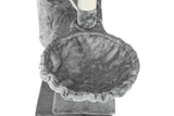 Krabpaal - 6 slaapplateaus met sisal-koord - Grijs 117,5 cm