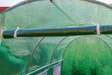 TUINKAS - 10m2 Oppervlakte - 6 Ramen - Groen - 250x200 cm