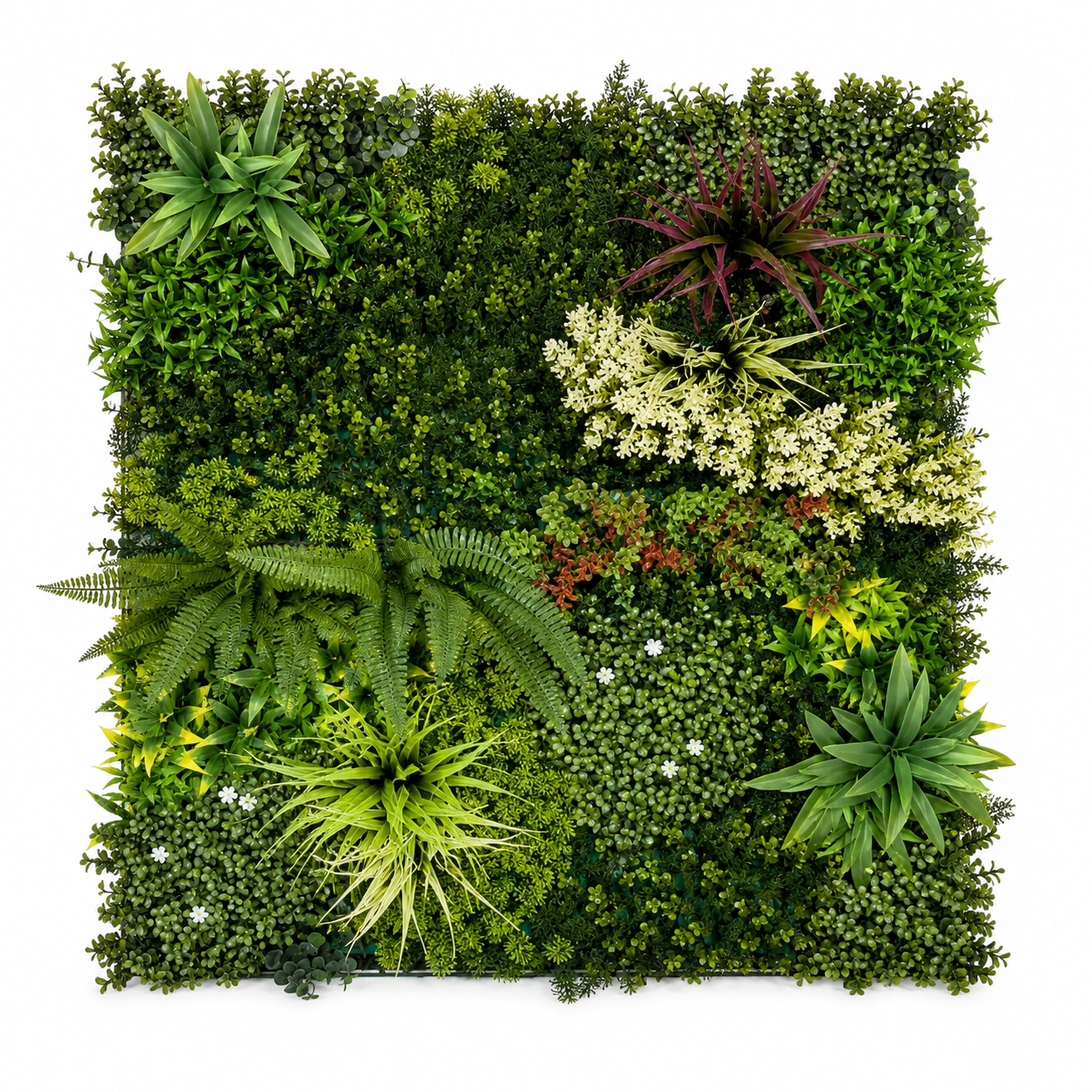 Kunsthaag Ruby – Tropical Garden – 100 × 100 cm