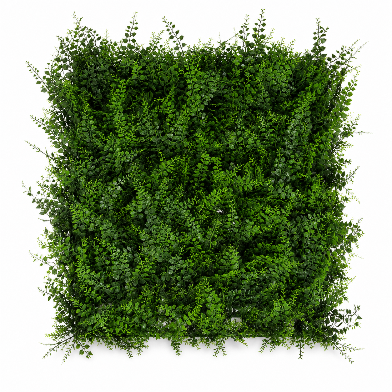 Kunsthaag Tess – Natural Green – 100 × 100 cm