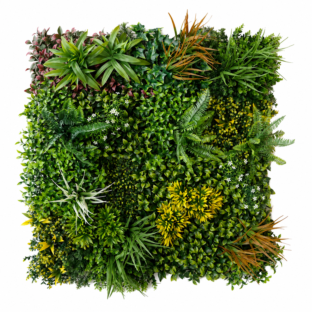 Kunsthaag Martina – Jungle Green – 100 × 100 cm