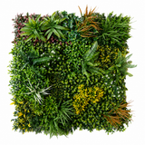 Kunsthaag Martina – Jungle Green – 100 × 100 cm