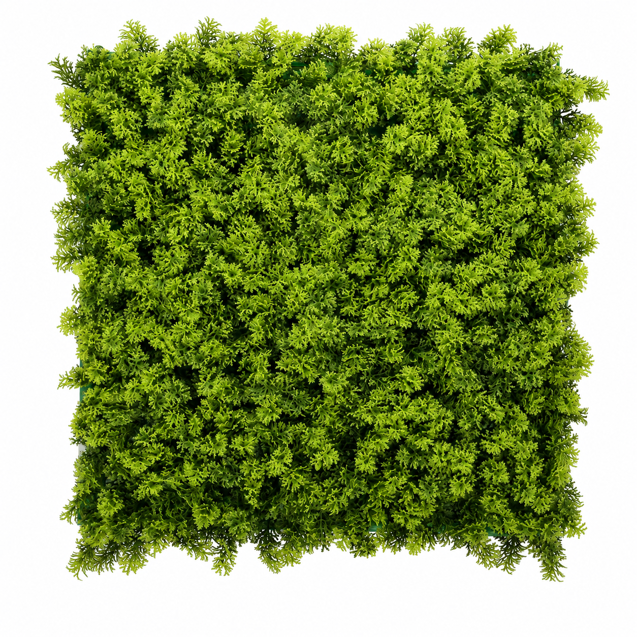 Kunsthaag Marie – Fresh Moss – 100 × 100 cm