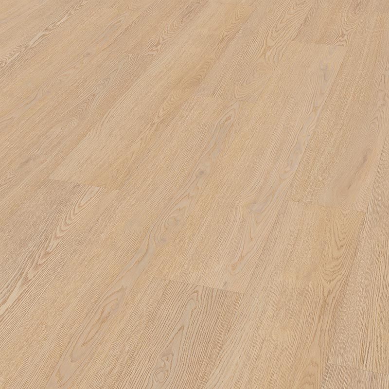 Eleanor – plak - wendelbos licht - pvc