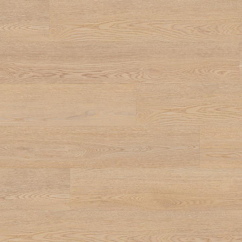 Eleanor – plak - wendelbos licht - pvc