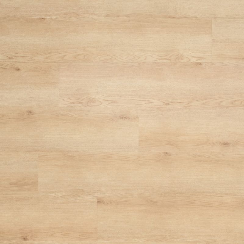 Sophia – click - cilento creme - pvc